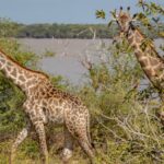 Arusha cultural day tours