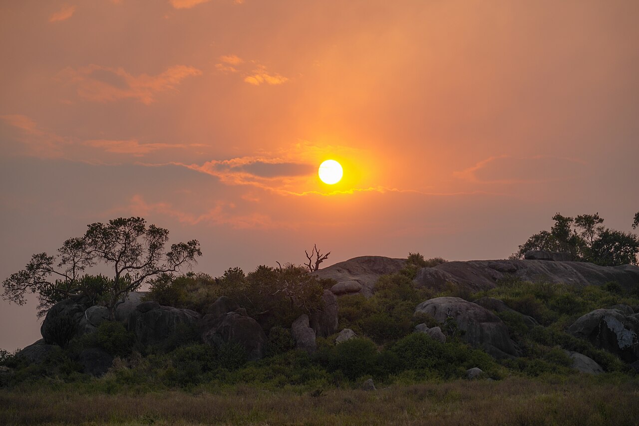 8-Day Perfect Tanzania Luxury Safari
