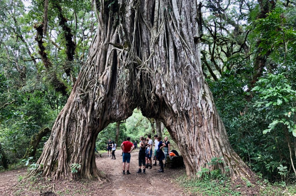 Arusha National Park