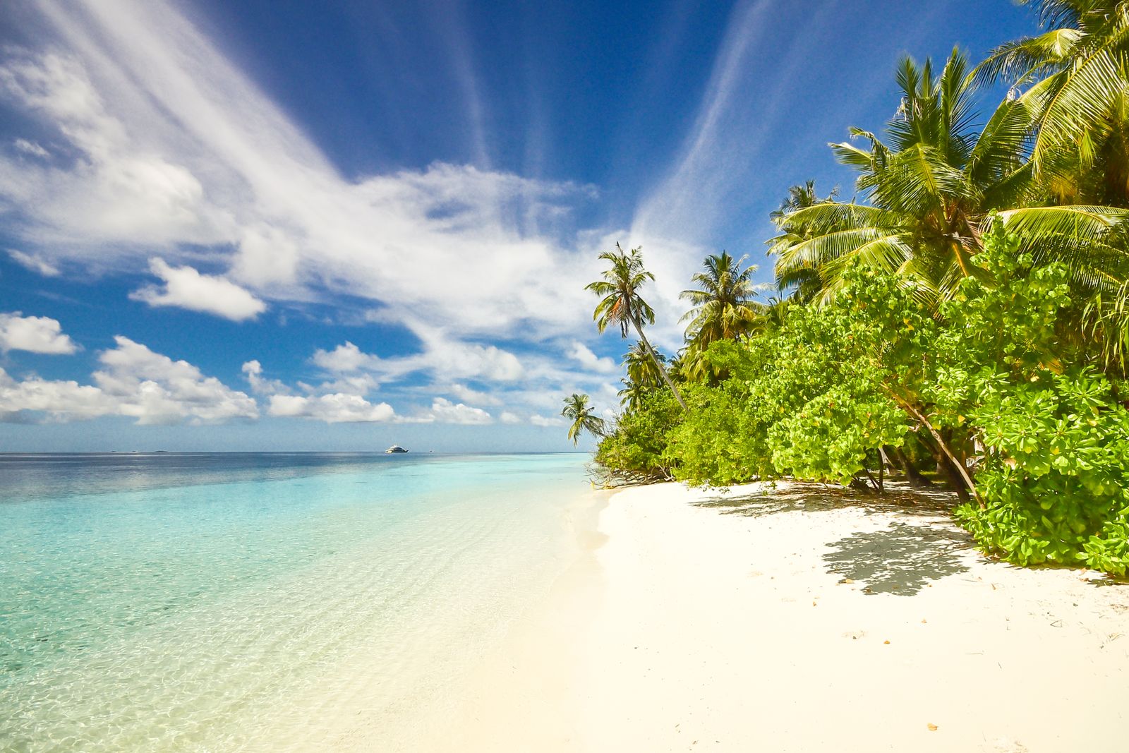 9-Day Best of Tanzania Safari and Zanzibar Beaches