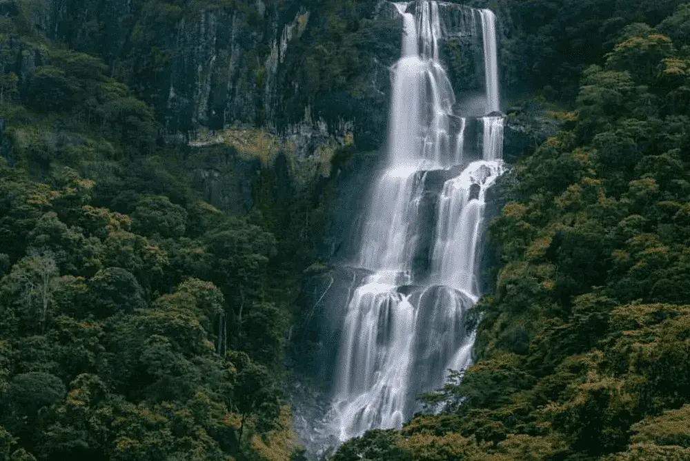 Udzungwa Mountains National Park