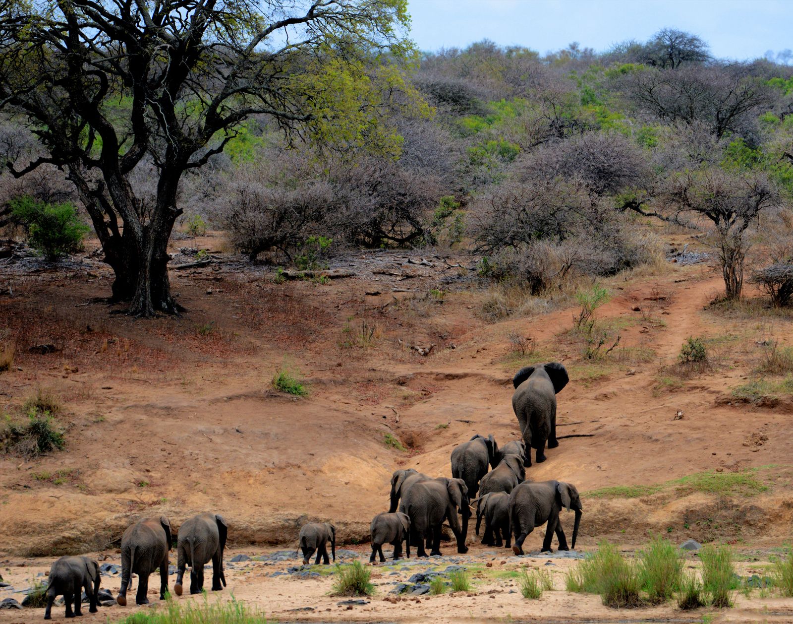 Tarangire National Park